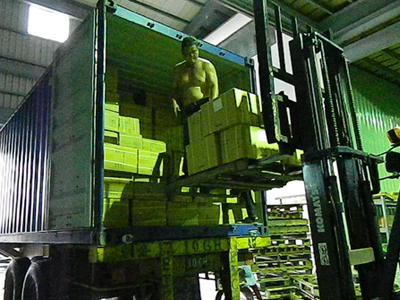 PROFESSIONAL CAR SPARE PARTS